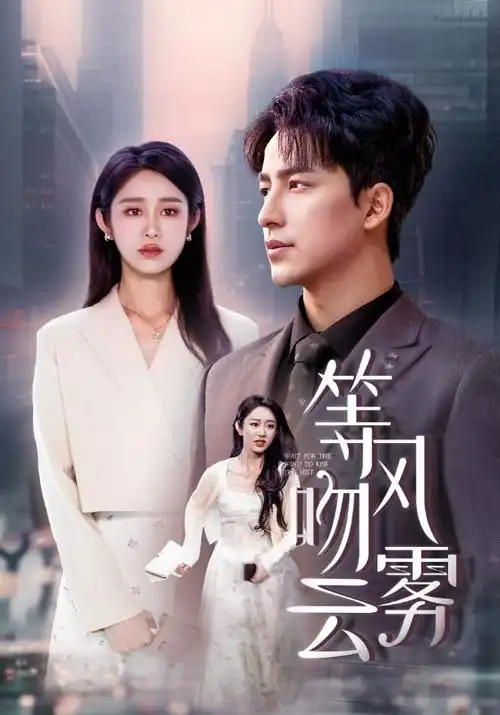 长夜将明 热播电视剧全集 手机免费在线观看
